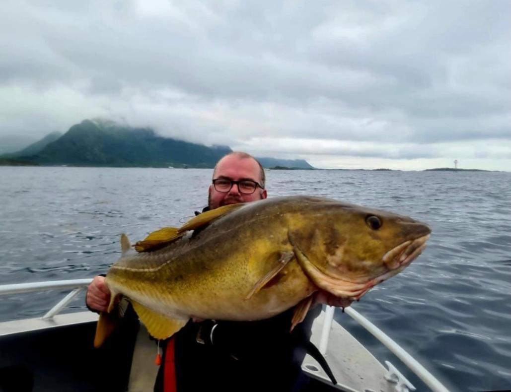 Lofoten And Vesteralen Kveldro Myrland Dış mekan fotoğraf