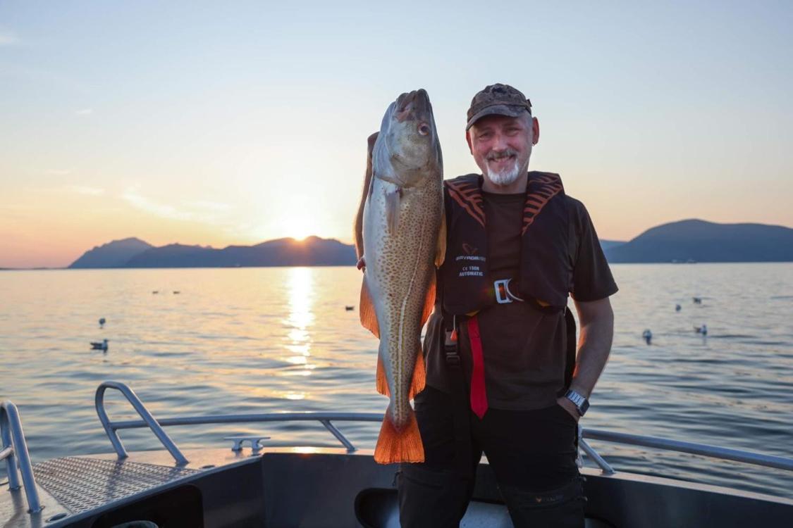 Lofoten And Vesteralen Kveldro Myrland Dış mekan fotoğraf