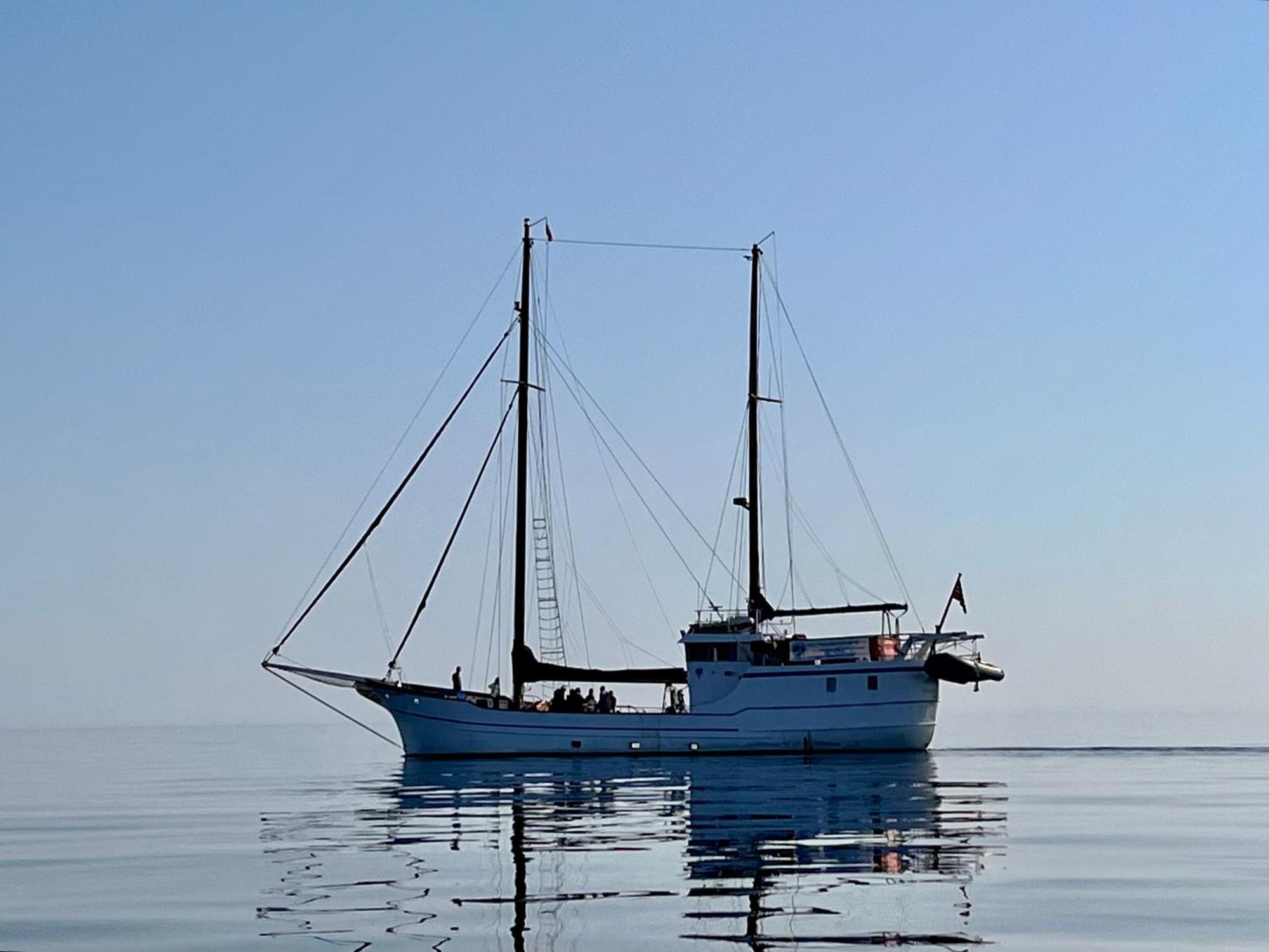 Lofoten And Vesteralen Kveldro Myrland Dış mekan fotoğraf