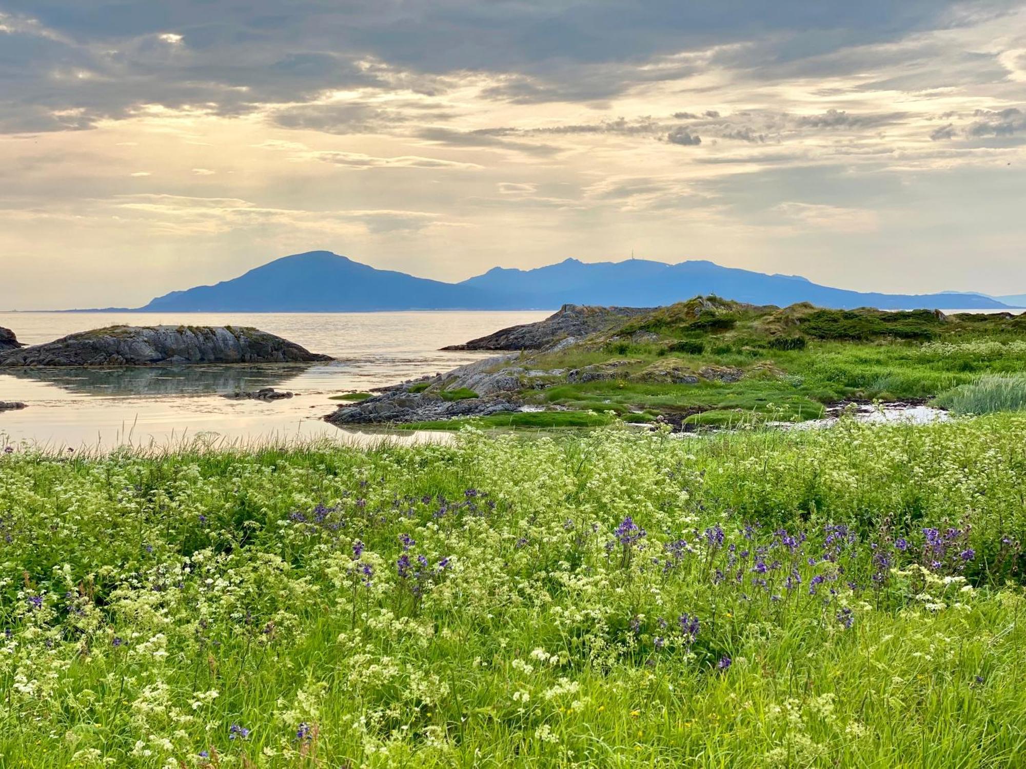 Lofoten And Vesteralen Kveldro Myrland Dış mekan fotoğraf