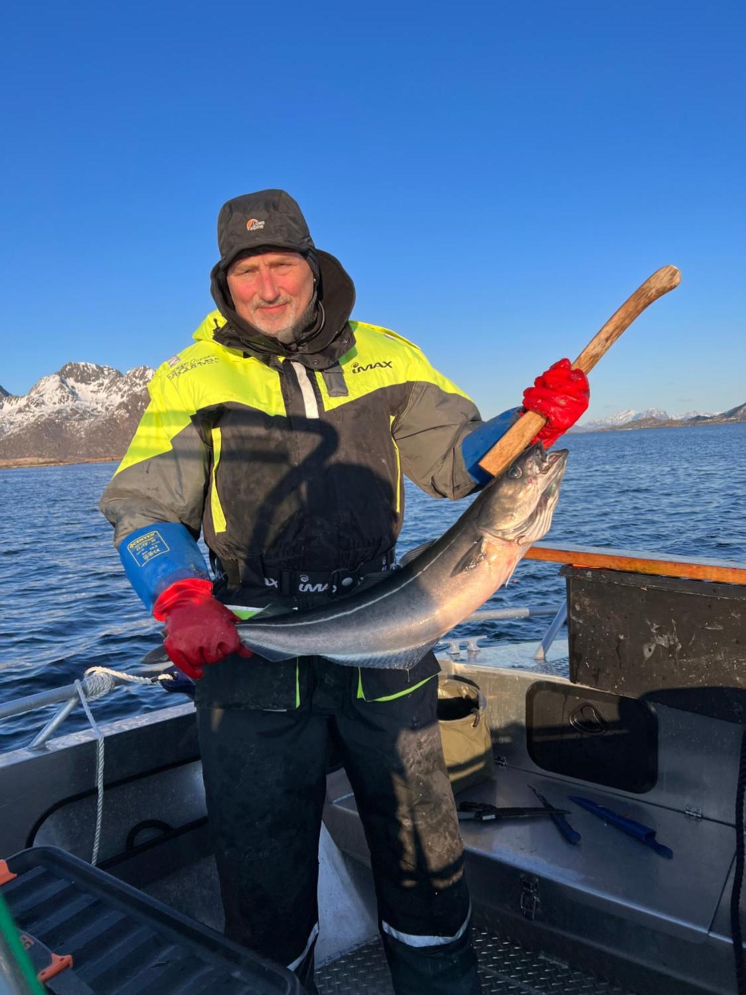 Lofoten And Vesteralen Kveldro Myrland Dış mekan fotoğraf